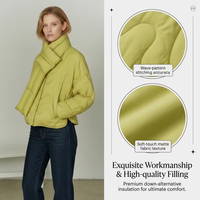 Veste courte parka pour femme, réversible, imperméable, coupe-vent, séchage rapide, respirante, écologique, rembourrée de duvet de canard, col montant
