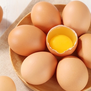 Indulgenza dorata-tuorlo d'uovo salato sapore solubile in olio-perfetto per snack croccanti, prodotti da forno e salse salate - Product Image 6