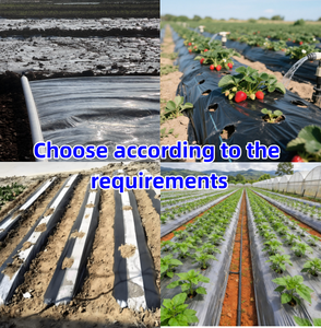 Oferta Especial: Rollo de Plástico para Mulching de Polietileno Directo de Fábrica, Certificado CE, Tamaño Personalizado para Cultivo de Tomate/Fresa/Papa - Product Image 3