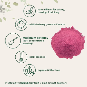Polvo de extracto de arándano micro orgánico 10oz 100% polvo de fruta Natural fuente de arándanos silvestres liofilizados ideal para bebidas - Product Image 4
