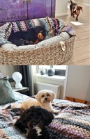 Couvertures confortables en molleton pour animaux de compagnie et couvertures personnalisées pour chiens et chats prix de gros offre couverture pour animaux de compagnie