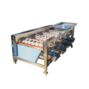 Equipo de Clasificación Automática de Alta Eficiencia, Máquina Clasificadora de Tomates de Alta Calidad - Product Image 3