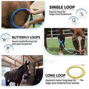 Équipement de thérapie équine Dispositif de thérapie Pemf <span class=keywords><strong>Couverture</strong></span> de thérapie de massage portable pour chevaux genou - Product Image 3