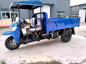 Tricycle de fret en vrac 22 CV Diesel, véhicule à trois <span class=keywords><strong>roues</strong></span> pour concessionnaires et commerçants africains - Product Image 5