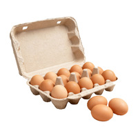 Cartones para Huevos de Alta Calidad, 15 Celdas, Compostables, Degradables, Bandeja de Cartón de Pulpa, Portátiles, de Grado Alimenticio