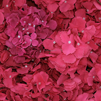NINI Rose Red Heart Arch Silk Handmade Floral Wedding Stage Background Arrangement Heart Shelf Decoration Bunga Palsu Luar Ruangan