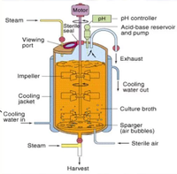 Bioréacteur de laboratoire, Fermenteur, Cuve de réaction avec contrôle automatique, Chauffage électrique, Capacité 100L, Pompe de mélange à turbine, Multi-tension