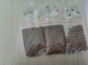 Chất Lượng Cao Nuôi Trồng Thủy Sản Thức Ăn Tôm - Product Image 4