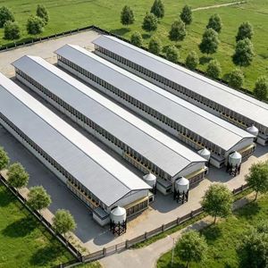 Edificio Prefabricado <span class=keywords><strong>de</strong></span> <span class=keywords><strong>Acero</strong></span>, Nave Avícola Comercial, Estructura <span class=keywords><strong>de</strong></span> <span class=keywords><strong>Acero</strong></span> para Granja <span class=keywords><strong>de</strong></span> Pollos - Product Image 1