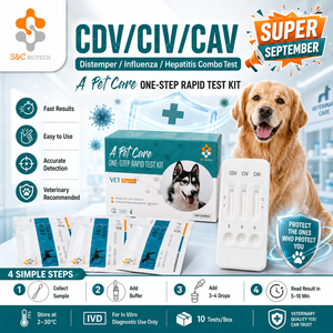 Promozione Settembre per la Cura degli Animali: Test Rapido CDV/CIV/CAV per Malattie da Cane (Distemper, <span class=keywords><strong>Influenza</strong></span> e Adenovirus) - Product Image 1