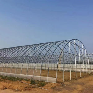 Serre agricole professionnelle à faible coût - Product Image 6