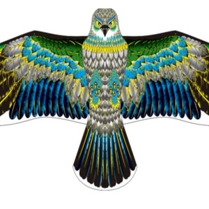 2025 nouveauté LZF 1.8m Polyester tissu plat aigle cerf-volant avec ligne de 30 mètres jouet d'extérieur pour 14 ans et plus Fly Bird Raptor cerf-volant - Product Image 4