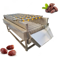 Automatische Droge Palm Dadelzaad Separator Data Borstel Ozon Wasmachine Dateert Fruit Sorteermachine