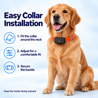 Traceur GPS Beidou multi-bandes 4G, étanche IP67, API, OEM, ODM, application gratuite, géolocalisation, localisateur lumineux pour animaux de compagnie, pour chiens de chasse et grands animaux