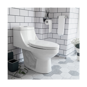 Inodoros Economics conjunto de Vaso sanitrio ถ้วยโถส้วมหนึ่งชิ้น - Product Image 1