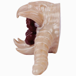 卸売男性マスターベーターファンタジーポケットプッシーストローク二重穴膣付き3Dリアルバットアナルセックスショップ - Product Image 5