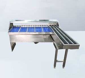 Clasificadora Automática de Tamaño, Calibradora de Huevos, Frutas y Verduras, Máquina Clasificadora de Acero Inoxidable 304 de Alta Capacidad, 50,000 Pesos - Product Image 1