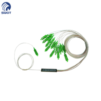 Pabrik SWOT Menyediakan Splitter PLC Ftth SC/APC 1*64 Berkualitas Tinggi Ukuran Ringkas dengan Tabung Baja 1260-1650nm 55/50dB Return Loss