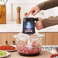 2023 nouveau Design 2L 3L 4L 5L petit hachoir à viande meilleur maison cuisine alimentaire pas cher en acier inoxydable verre électrique hachoir à viande à vendre