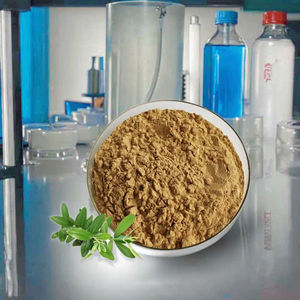 توريد خلاصة أوراق الزيتون الطبيعية مسحوق هيدروكسي تيروسول - Product Image 1