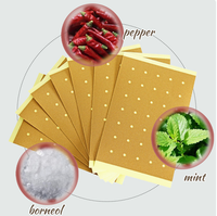 Patch Corporel Rafraîchissant Naturel à la Menthe et aux Herbes Mentholées, Marque Privée OEM, Taille Personnalisable, Certifié ISO, pour Cou, Épaules et Dos, Santé et Bien-être