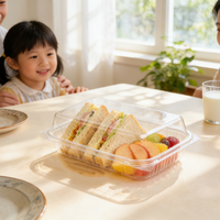 Boîte d'emballage rectangulaire transparente pour gâteau au fromage glacé, mousse, boîte de conditionnement en plastique PET transparent avec couvercle