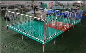 Cage <span class=keywords><strong>de</strong></span> maternité commerciale pour porcelets avec plancher BMC et mangeoire anti-diarrhée - Product Image 2