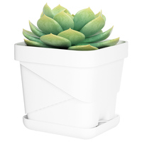 Pots à plantes succulentes carrés blancs avec plateau de drainage, pots de pépinière en plastique pour cactus, petites plantes, décoration de bureau à domicile