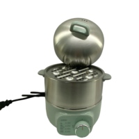 Cuiseur à œufs électrique Nutricook, cuiseur à œufs rapide multifonctionnel en acier inoxydable