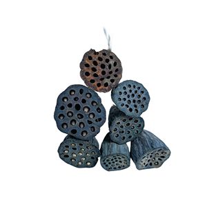 Échantillons gratuits <span class=keywords><strong>d</strong></span>écoration de mariage fleur de fée créative fleur séchée Nelumbo nucifera <span class=keywords><strong>d</strong></span>écoration de mariage fleurs - Product Image 5