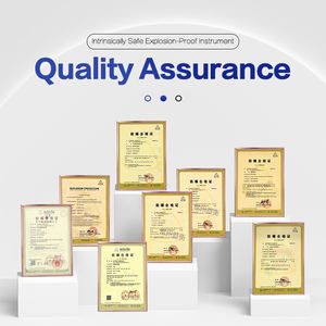 Gas esplosivi SH8P e ambienti di polvere combustibile a prova di esplosione bilance industriali bilance indicatore di peso - Product Image 6
