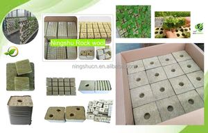 Rock Wool Mini 4x4x4cm Growing Media Rock Wool Cubes for Seed <strong>Propagation</strong> in Garden Supplies - Product Image 6