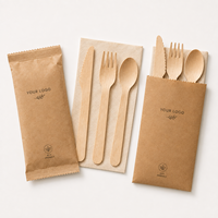 Lot de Couverts Jetables en Bois Certifiés FSC, Biodégradables et Écologiques (Cuillère, Fourchette, Couteau) – Vente en Gros, Approvisionnement Direct Usine