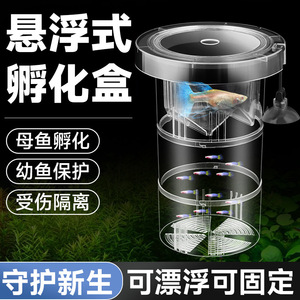 Caja de incubación y aislamiento para acuario, cilindro circular de acrílico transparente para cría de guppys, reproducción y separación de alevines - Product Image 3