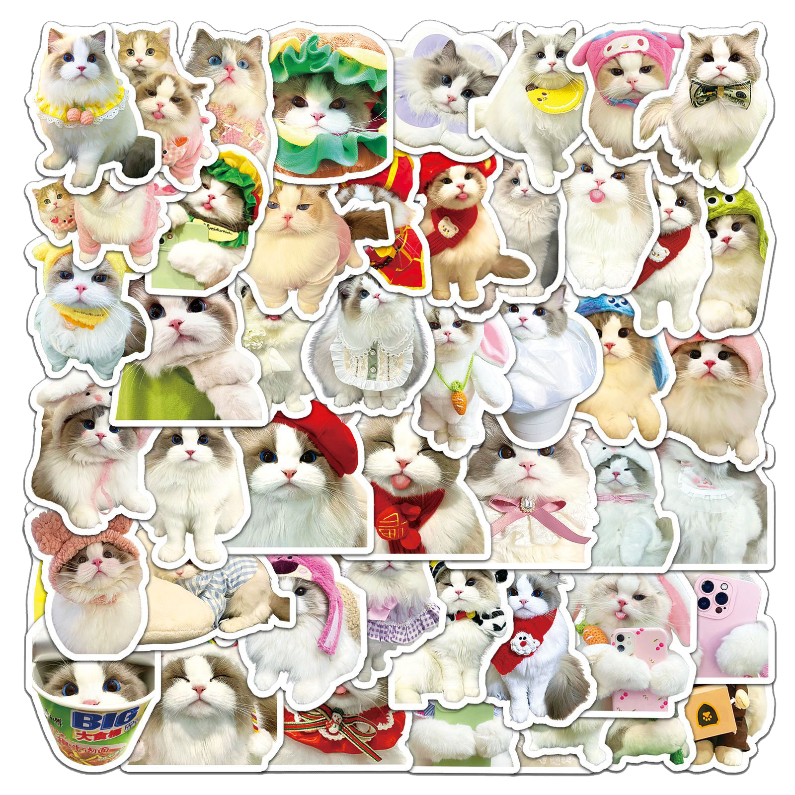 Pegatinas y Stickers de Gatos - Oferta Limitada en Stock
