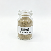 Poudre de culture microbienne Acetobacter 10 milliards UFC/g, bactéries acides acétyliques dédiées à la fermentation acétique du vinaigre industriel