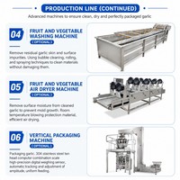 Ligne de production complète entièrement automatique pour l'épluchage des gousses d'ail avec chaîne entraînée
