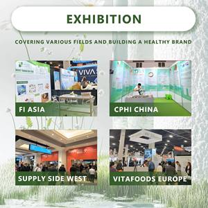 Rhodiola Roseaエキス3% Rosavins Salidroside水溶性粉末 - Product Image 5