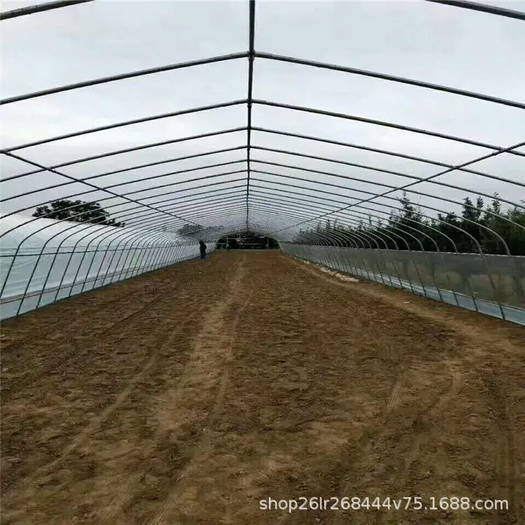 Landwirtschaft Tomaten Gewächshaus rahmen Kunststoff folie Single Span Tunnel Gewächs häuser für Pflanzen