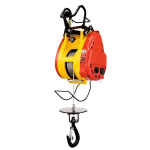 High Quality Cheap Price Portable Electric Hoist 100kg /300kg /500kg Small Electric Hoist Mini Crane Lift