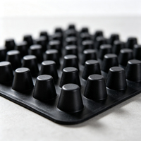 Planche de drainage en plastique Hengyang 8mm-30mm, résistante à la corrosion, drainage et filtration, longueur personnalisable pour applications routières et extérieures
