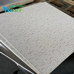 Woer Nhà cung cấp thời trang và hiện đại 60x60 PVC nhiều lớp vinyl tráng thạch cao gạch Trần - Product Image 5