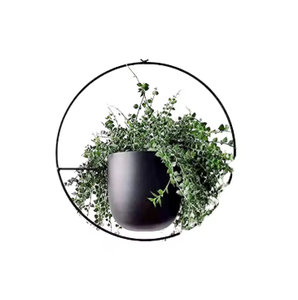 Soportes para Macetas de Piso, Duraderos y Ecológicos, para Jardín y Hogar, Zhongpin, los Más Vendidos, Estilo Americano Vintage, de Hierro con Recubrimiento en Polvo, para Colgar - Product Image 2