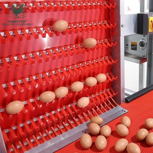 Gabbie per Galline Ovaiole Personalizzate Tipo H Verticali Multi-Livello con Ampio Spazio e Zona di Bagno Polveroso - Product Image 2