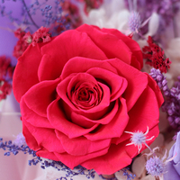 Lovebay Bestseller Konservierte Echte Blume Lila Rosen Für Frauen Geschenk Ewiger Blumenstrauß Für immer Konservierter Blumenstrauß