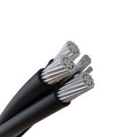 Cable de bajo voltaje de 2x16 + 1x5mm 2x25 + 2x1,5mm 4x25 + 2x1,5mm Xlpe Cable aéreo incluido