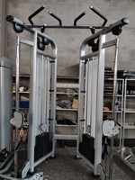 Équipement de fitness de gymnastique commerciale équipement d'exercice de musculation poulie réglable entraîneur fonctionnel (DAP)
