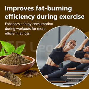 Sıcak satış kilo kaybı takviyesi Keto diyet Boost metabolizması ve yanık yağ doğal zayıflama tozu - Product Image 3