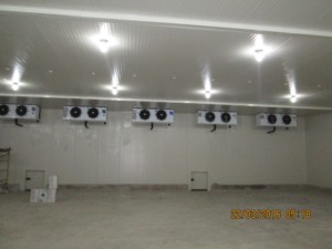 Công Suất Lớn Tùy Chỉnh Lạnh Kho Di Động Phòng Lạnh Lưu Trữ Rau Quả Tươi Và Trái Cây - Product Image 3