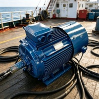 Générateurs éoliens à aimants permanents à faible régime 10 kW de Chine, 48Vac-1140Vac, protection IP54/IP55, marque Enning